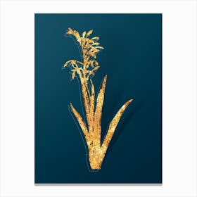 Vintage Antholyza Aethiopica Botanical in Gold on Teal Blue Canvas Print