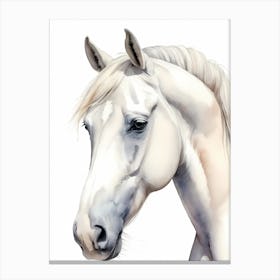 Floral White Horse Watercolor Painting (20) Canvas Print