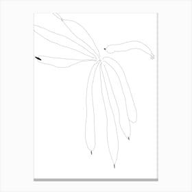 Drawing Of A Flower Art Print Canvas Print