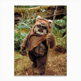 Star Wars - Chewbacca Canvas Print