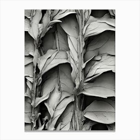 Leaves On A Wall Canvas Print