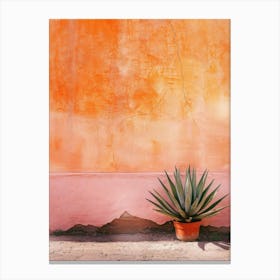 Agave 7 Canvas Print