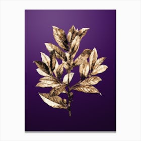 Gold Botanical Bay Laurel on Royal Purple n.2196 Canvas Print