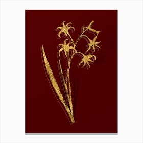 Vintage Gladiolus Cuspidatus Botanical in Gold on Red n.0530 Canvas Print