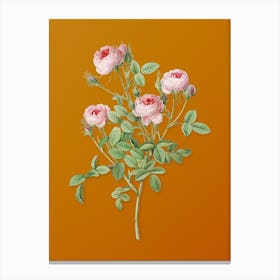 Vintage Burgundian Rose Botanical on Sunset Orange n.0382 Canvas Print
