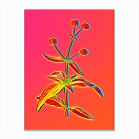 Neon Orange Ball Tree Botanical in Hot Pink and Electric Blue n.0521 Canvas Print