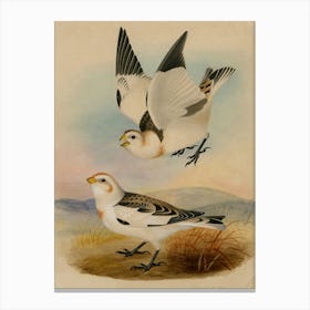 Two Birds In Flight Canvas Print