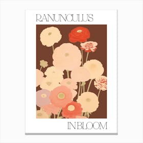 Ranunculus In Bloom Flowers Bold Illustration 2 Canvas Print