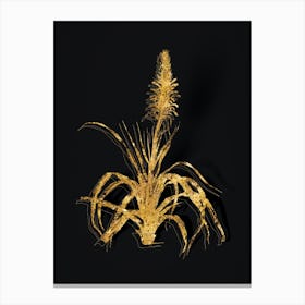 Vintage Pina Cortadora Botanical in Gold on Black n.0309 Canvas Print