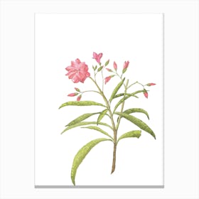 Pink Floral Watercolour Rose Canvas Print