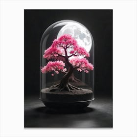 Bonsai Tree Under Glass Canvas Print