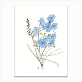 Forget Me Not Floral Quentin Blake Inspired Illustration 1 Flower Canvas Print