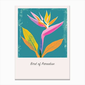 Bird Of Paradise 1 Square Flower Illustration Poster Canvas Print