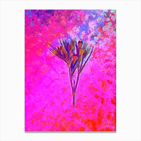Witsenia Maura Botanical in Acid Neon Pink Green and Blue Canvas Print