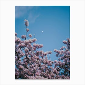 Cherry Moon Canvas Print