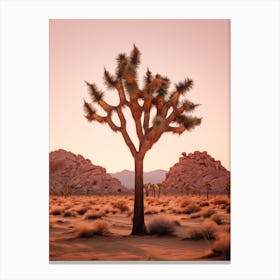  Photograph Of A Joshua Trees At Dawn In Desert 5 Canvas Print