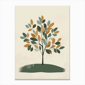 Chestnut Tree Minimal Japandi Illustration 1 Canvas Print