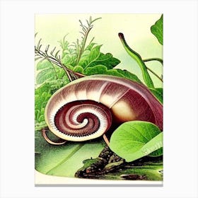 Snail By Freshwater Stream Botanical Canvas Print