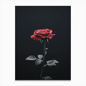 Rose On A Black Background 33 Canvas Print