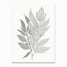 Bay Leaves Herb William Morris Inspired Line Drawing 2 Canvas Print