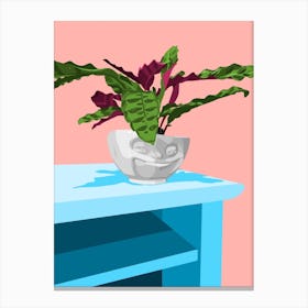 The Smirk - plant on a table Canvas Print