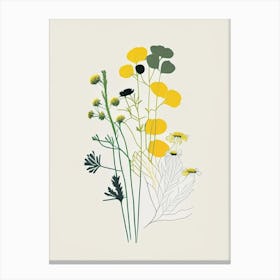 Feverfew Spices And Herbs Minimal Line Drawing 3 Canvas Print