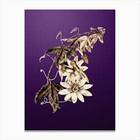 Gold Botanical Mrs. Marryat's Tacsonia Flower on Royal Purple n.0195 Canvas Print