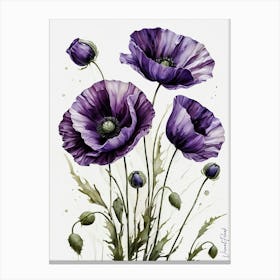 Dark Purple Poppies Flowers Canvas Print