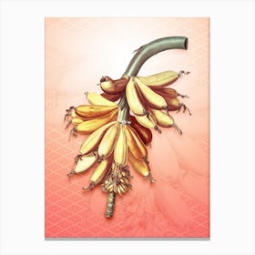 Banana Vintage Botanical in Peach Fuzz Hishi Diamond Pattern n.0207 Canvas Print