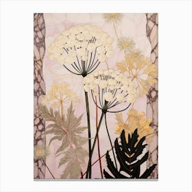 Flower Illustration Queen Annes Lace 6 Canvas Print