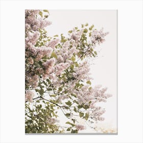 Hydrangea Flowers Canvas Print