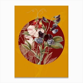 Vintage Botanical Sweet Pea Lathyrus Odoratus on Circle Red on Yellow n.0068 Canvas Print