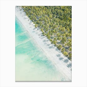 Hawaii Beach - Teal Clear Water - Ocean Palms Canvas Print