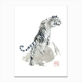 Tiger On The Rocks Canvas Print