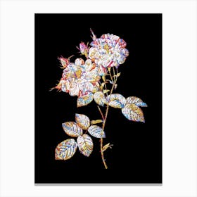 Stained Glass White Damask Rose Mosaic Botanical Illustration on Black n.0183 Canvas Print