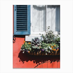 Flower Box II Canvas Print