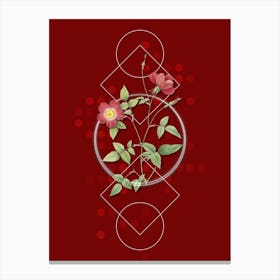 Vintage Indica Stelligera Rose Botanical with Geometric Line Motif and Dot Pattern n.0405 Canvas Print