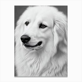 Kuvasz B&W Pencil dog Canvas Print