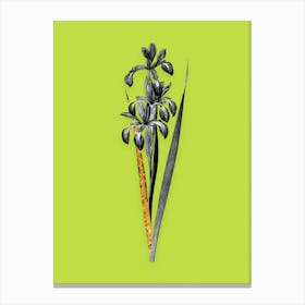 Vintage Blue Iris Black and White Gold Leaf Floral Art on Chartreuse n.0131 Canvas Print