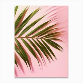 Palm Leaf On Pink Background 6 Canvas Print