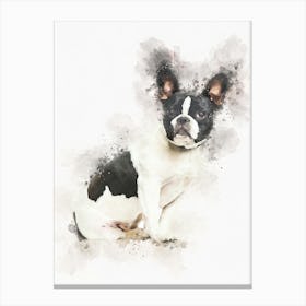 French Bulldog 1 Canvas Print