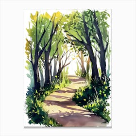 Watercolor Path In The Woods 1 Canvas Print
