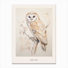 Vintage Bird Drawing Barn Owl 3 Poster Canvas Print