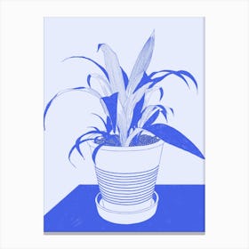 Spider Potted Plant Canvas Print