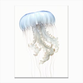 Irukandji Jellyfish Simple Watercolour 5 Canvas Print