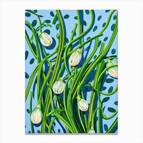 Garlic Scapes Summer Illustration 6 Canvas Print