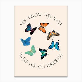 Retro Butterfly Quote  Canvas Print