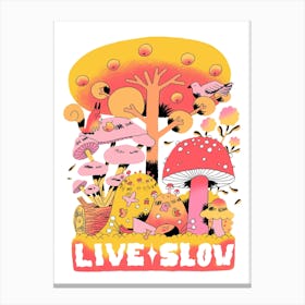 Live Slow Canvas Print