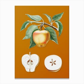 Vintage Carla Apple Botanical on Sunset Orange n.0668 Canvas Print