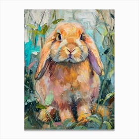 Holland Lop Rabbit Painting 3 Canvas Print
